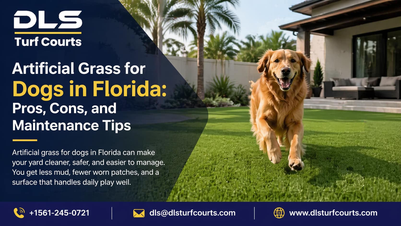 Artificial Grass for Dogs in Florida: Pros, Cons, and Maintenance Tips